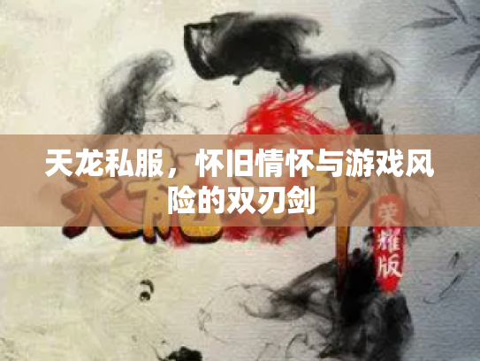 天龙私服，怀旧情怀与游戏风险的双刃剑