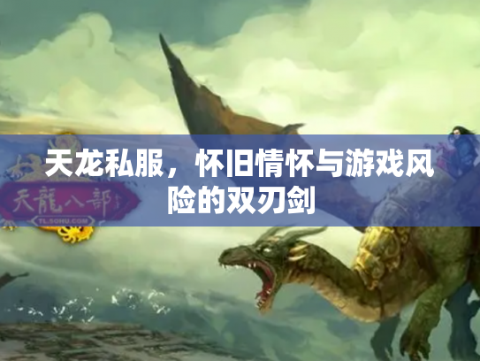 天龙私服，怀旧情怀与游戏风险的双刃剑