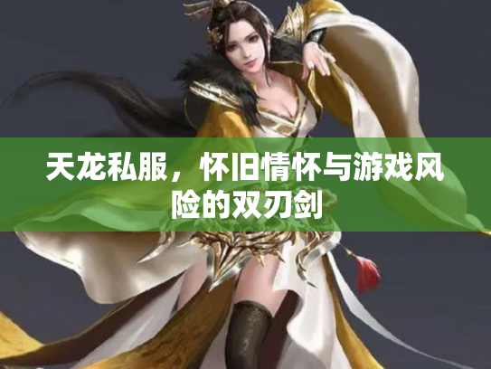 天龙私服，怀旧情怀与游戏风险的双刃剑