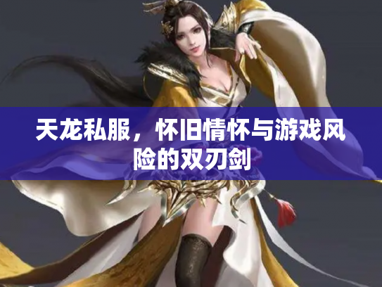 天龙私服，怀旧情怀与游戏风险的双刃剑