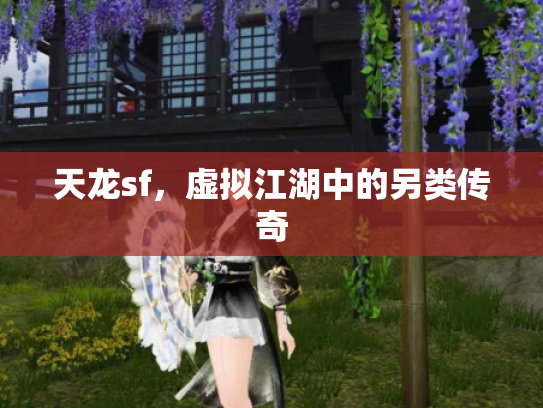 天龙sf，虚拟江湖中的另类传奇