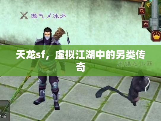 天龙sf，虚拟江湖中的另类传奇
