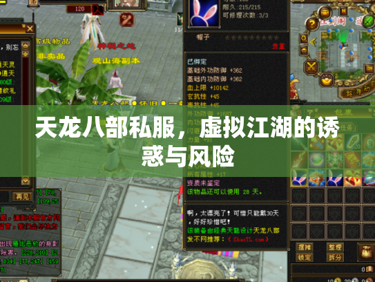 天龙八部私服，虚拟江湖的诱惑与风险