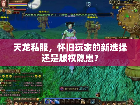 天龙私服，怀旧玩家的新选择还是版权隐患？