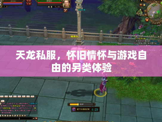 天龙私服，怀旧情怀与游戏自由的另类体验