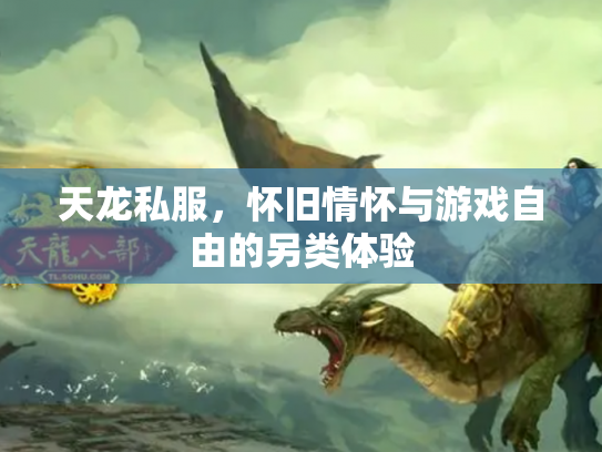 天龙私服，怀旧情怀与游戏自由的另类体验