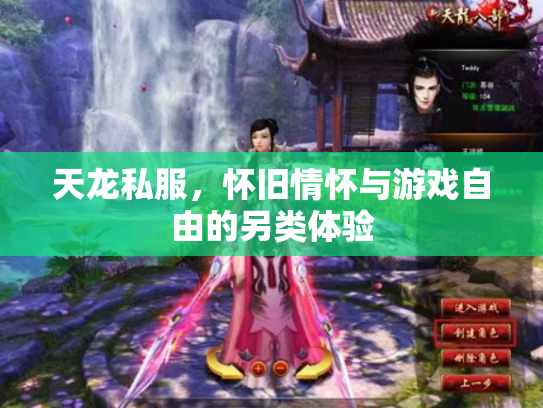 天龙私服，怀旧情怀与游戏自由的另类体验