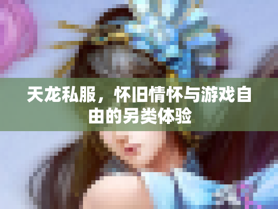 天龙私服，怀旧情怀与游戏自由的另类体验