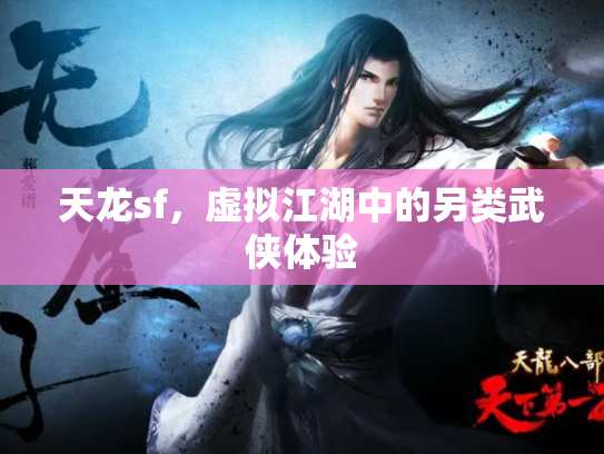 天龙sf，虚拟江湖中的另类武侠体验