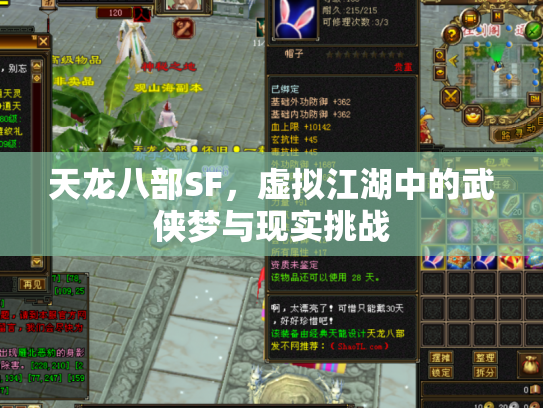天龙八部SF，虚拟江湖中的武侠梦与现实挑战