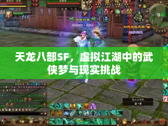 天龙八部SF，虚拟江湖中的武侠梦与现实挑战