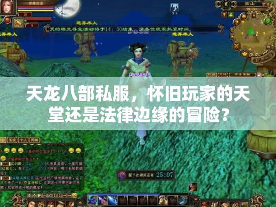天龙八部私服，怀旧玩家的天堂还是法律边缘的冒险？