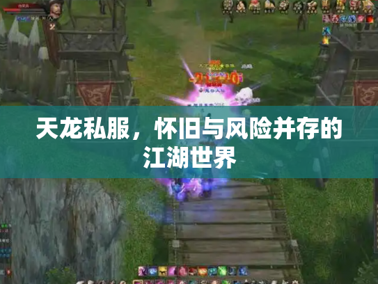 天龙私服，怀旧与风险并存的江湖世界