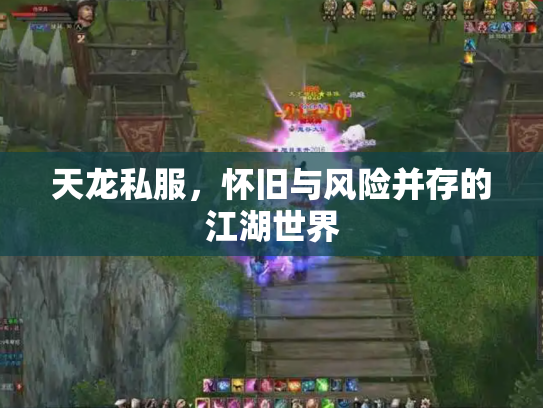 天龙私服，怀旧与风险并存的江湖世界