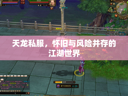 天龙私服，怀旧与风险并存的江湖世界