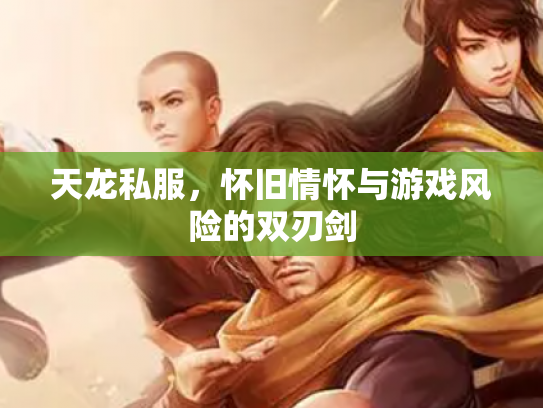 天龙私服，怀旧情怀与游戏风险的双刃剑