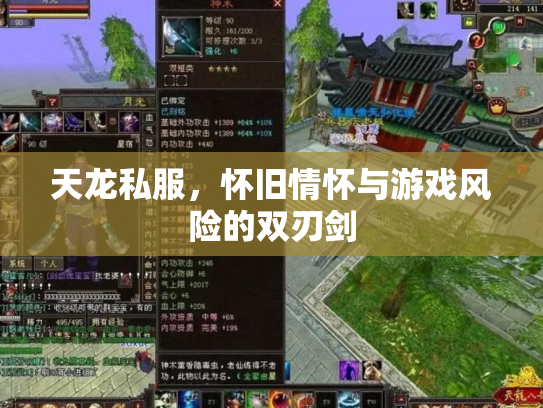 天龙私服，怀旧情怀与游戏风险的双刃剑