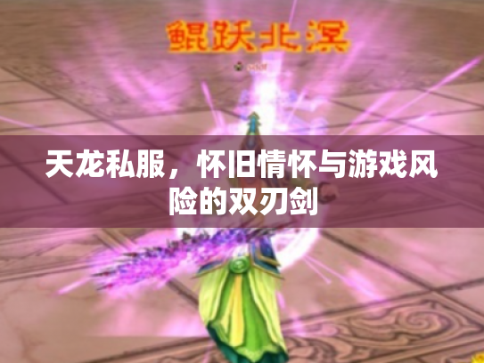 天龙私服，怀旧情怀与游戏风险的双刃剑