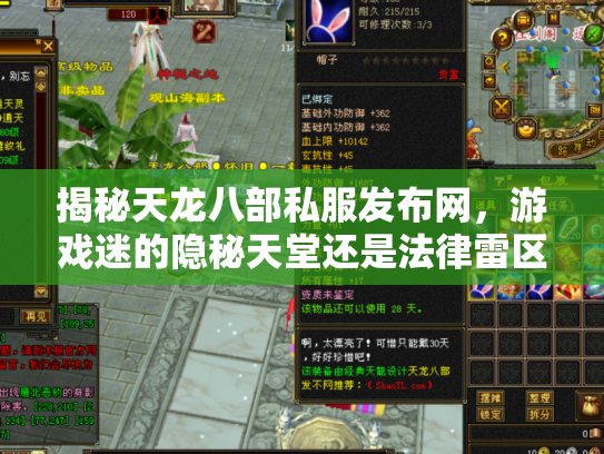 揭秘天龙八部私服发布网，游戏迷的隐秘天堂还是法律雷区？