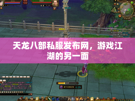 天龙八部私服发布网，游戏江湖的另一面