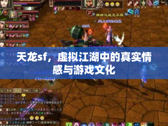 天龙sf，虚拟江湖中的真实情感与游戏文化