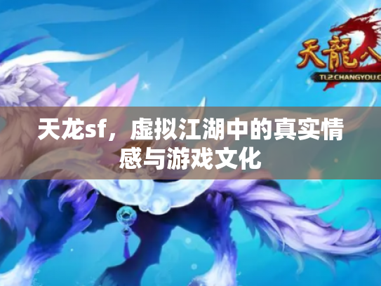 天龙sf，虚拟江湖中的真实情感与游戏文化