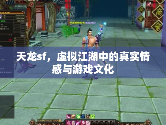 天龙sf，虚拟江湖中的真实情感与游戏文化