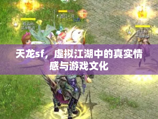 天龙sf，虚拟江湖中的真实情感与游戏文化