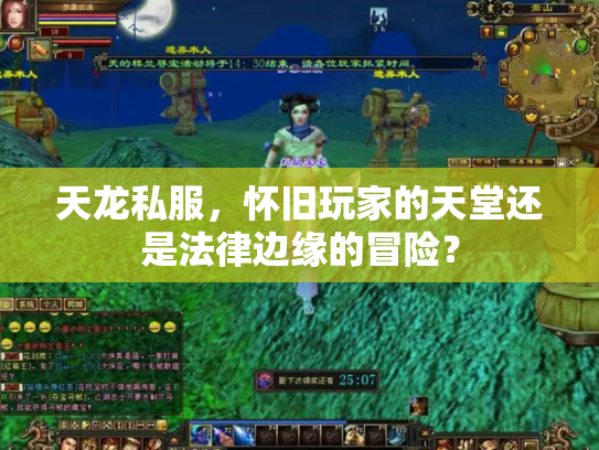 天龙私服，怀旧玩家的天堂还是法律边缘的冒险？