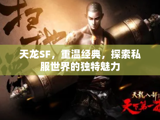 天龙SF，重温经典，探索私服世界的独特魅力