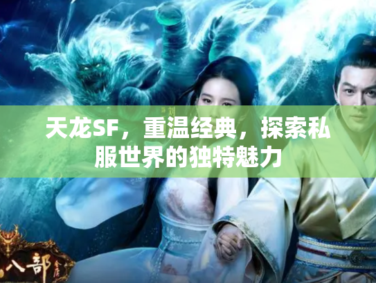 天龙SF，重温经典，探索私服世界的独特魅力