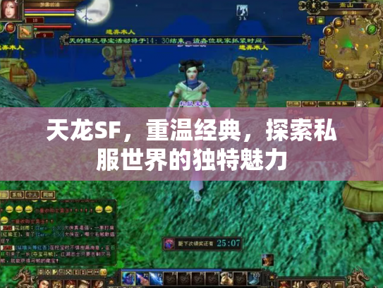 天龙SF，重温经典，探索私服世界的独特魅力