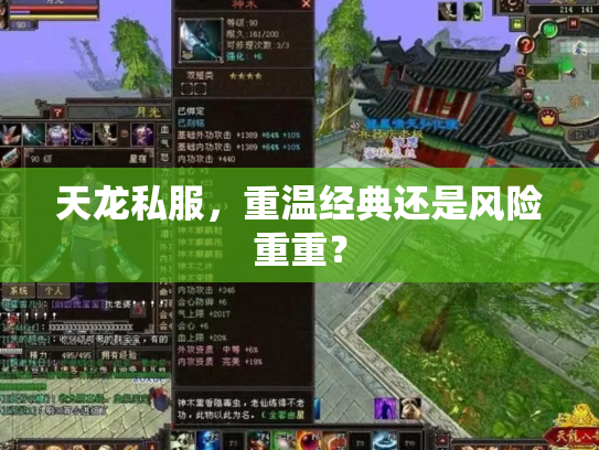 天龙私服，重温经典还是风险重重？