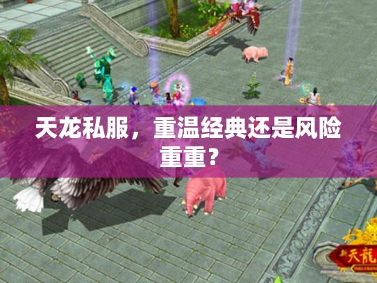 天龙私服，重温经典还是风险重重？
