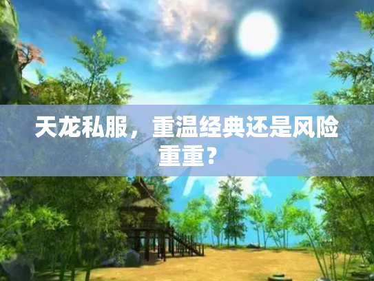 天龙私服，重温经典还是风险重重？