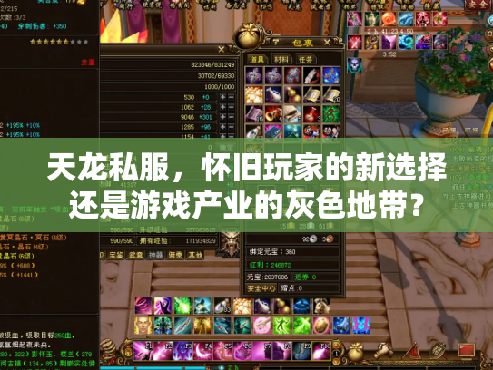 天龙私服，怀旧玩家的新选择还是游戏产业的灰色地带？