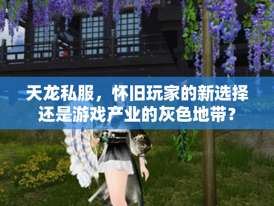 天龙私服，怀旧玩家的新选择还是游戏产业的灰色地带？