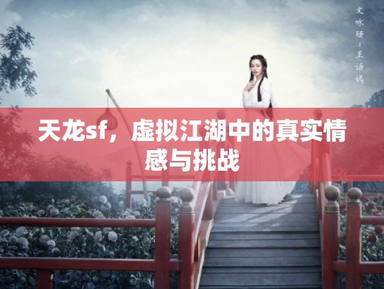 天龙sf，虚拟江湖中的真实情感与挑战
