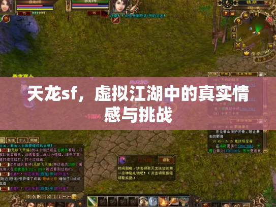 天龙sf，虚拟江湖中的真实情感与挑战