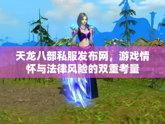 天龙八部私服发布网，游戏情怀与法律风险的双重考量