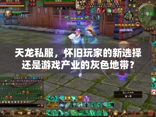 天龙私服，怀旧玩家的新选择还是游戏产业的灰色地带？