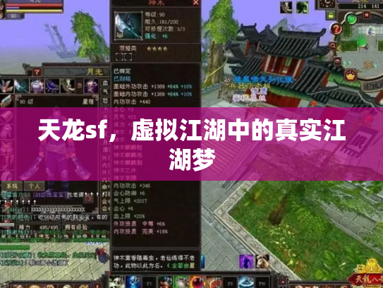 天龙sf，虚拟江湖中的真实江湖梦