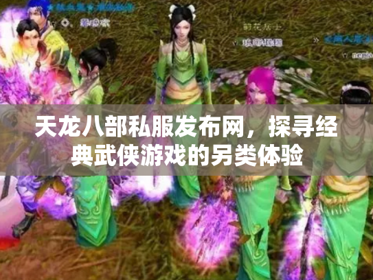 天龙八部私服发布网，探寻经典武侠游戏的另类体验