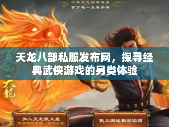 天龙八部私服发布网，探寻经典武侠游戏的另类体验