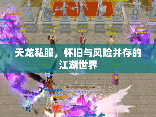 天龙私服，怀旧与风险并存的江湖世界