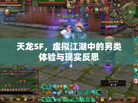 天龙SF，虚拟江湖中的另类体验与现实反思
