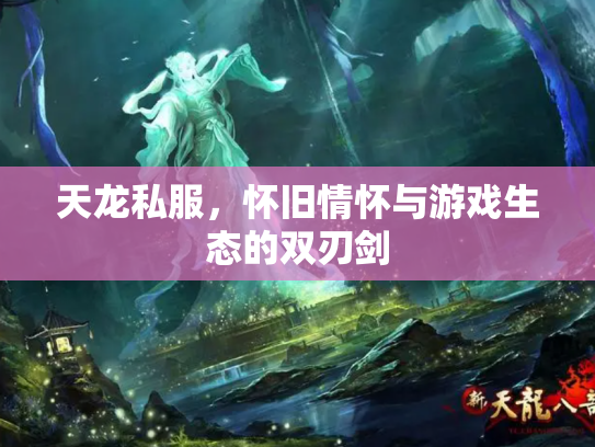 天龙私服，怀旧情怀与游戏生态的双刃剑