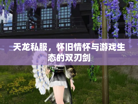 天龙私服，怀旧情怀与游戏生态的双刃剑