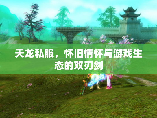天龙私服，怀旧情怀与游戏生态的双刃剑