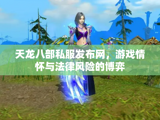 天龙八部私服发布网，游戏情怀与法律风险的博弈